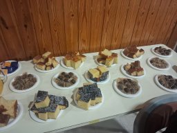 657684601_1347050630788406_6448652373297229699_n